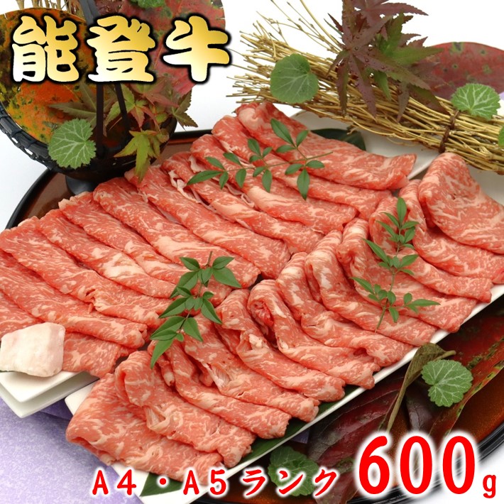 【ふるさと納税】 数量限定 黒毛和牛 ロース すき焼き 600g A4 - A5 ランク 能登牛 0.6kg 厳選 特別賞 受賞 うし ギフト 牛 牛肉 和牛 国産牛 肉 ロース肉 霜降り 鍋料理 ブランド ブランド牛 贈答 お歳暮 お中元 高級 グルメ 精肉 冷蔵 おすすめ 北陸 石川 能登 災害 支援｜石川県羽咋市