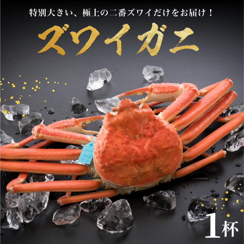 【ふるさと納税】 【 姫丸 の 二番 ズワイガニ 】 11 - 12月 配送 1 - 3月 配送 2番ズワイ 茹で上げ後 約 900g &times; 1杯｜石川県羽咋市 77,000円