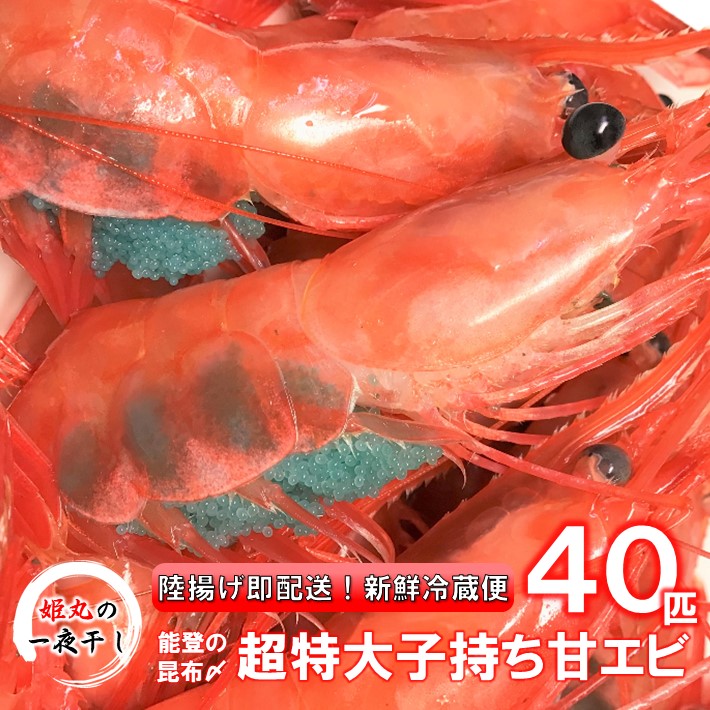 【ふるさと納税】[D023] 獲れたて鮮度抜群！姫丸の子持ち甘エビ40匹丸ごと昆布〆【2025年1月～10月発送】