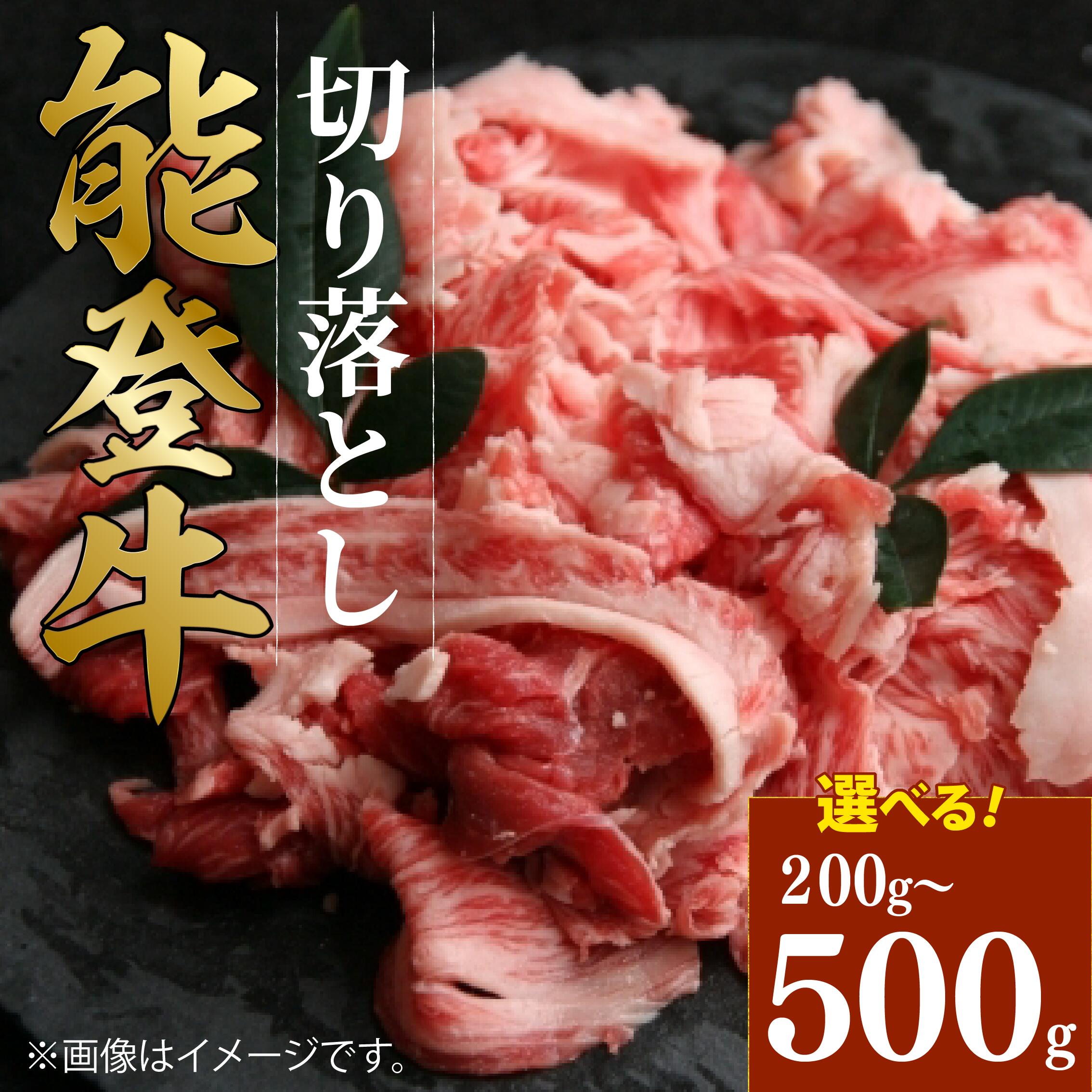 【ふるさと納税】 黒毛和牛 切り落とし 500g 300g 200g 能登牛 ギフト 選べる容量 小分け とろける 食感 希少 ギフトボックス 贈答 プレゼント ブランド 和牛 国産 肉 冷凍 石川 石川県 羽咋 5000円 国産 能登半島 牛肉 焼肉 すき焼き しゃぶしゃぶ にも 災害支援 復興支援