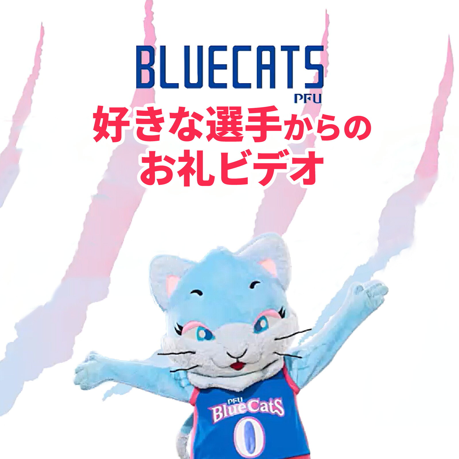 【ふるさと納税】【PFUブルーキャッツ石川かほく】好きな選手からのお礼ビデオ |限定動画 選手メッセージ 推し活 選手メッセージ スポーツ 動画 応援 限定特典 オリジナル動画|石川県かほく市