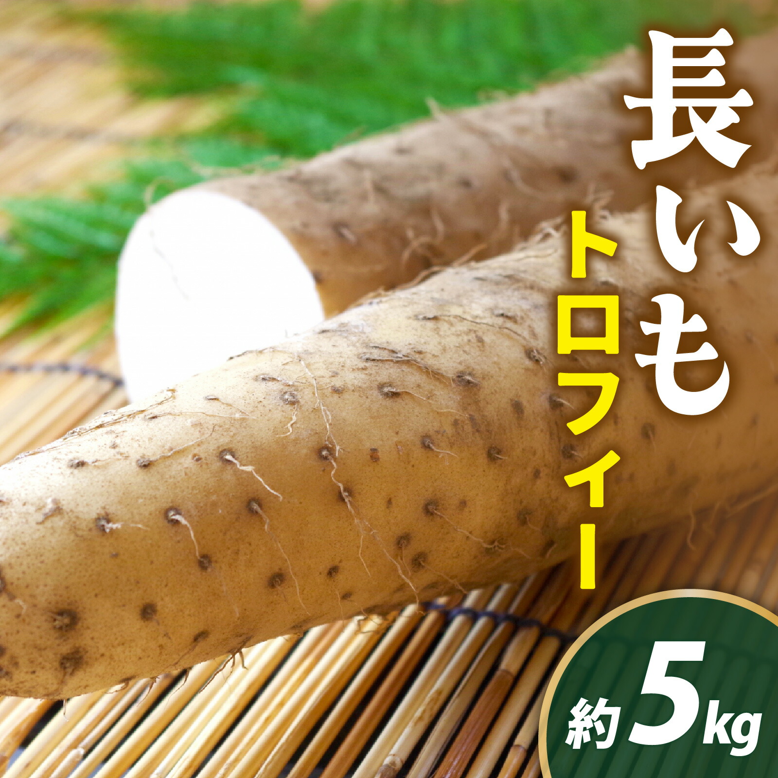【ふるさと納税】【能登半島地震復興支援】長いも「トロフィー」 1箱 ＜2025年収穫分 先行予約＞