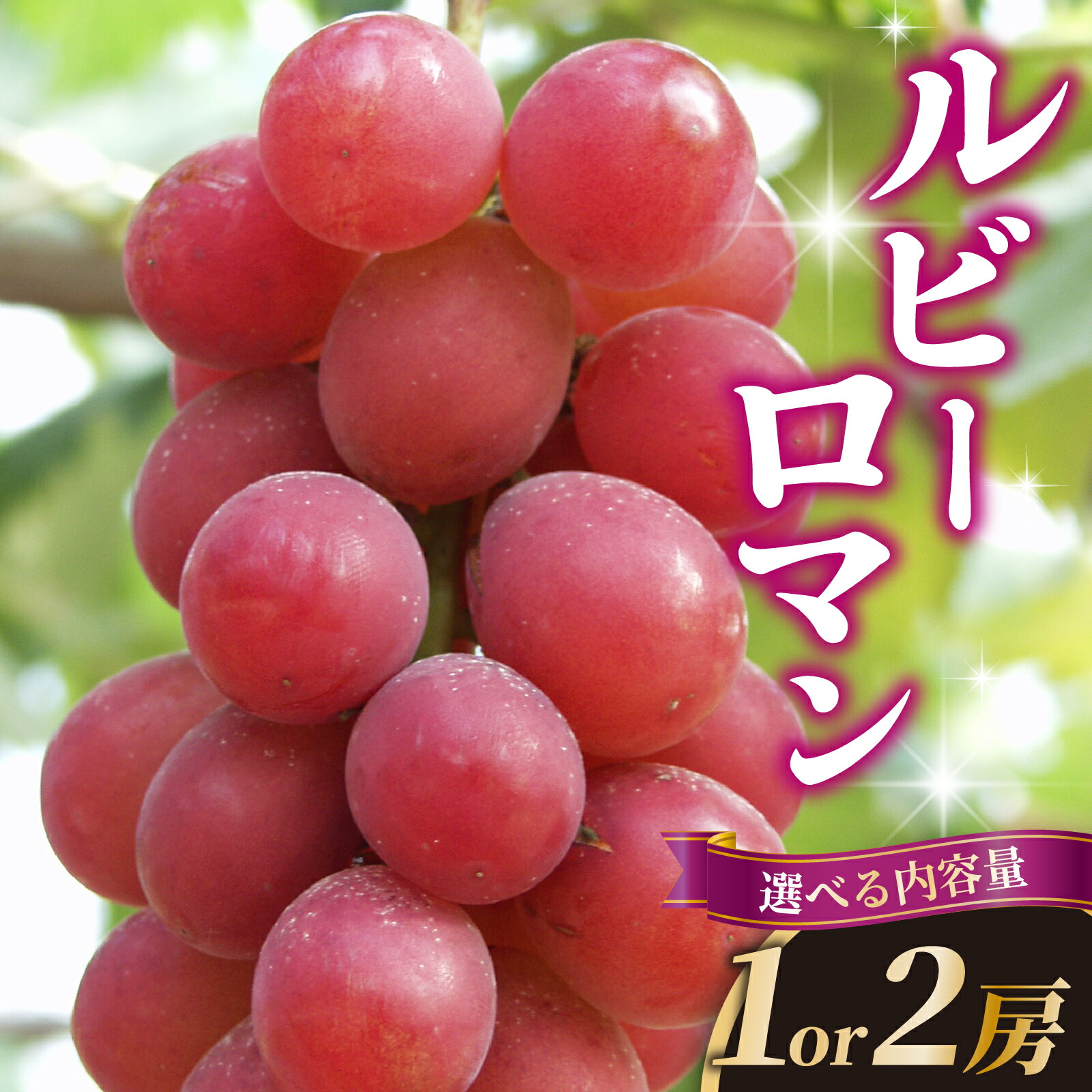 【ふるさと納税】【能登半島地震復興支援】ルビーロマン 1箱 or 2箱 ＜2025年収穫分　先行予約＞化粧箱入り ｜ ぶどう 葡萄 ブドウ フルーツ 果物 くだもの 人気 おすすめ 超高級 贈答品  贈答 美味しい 甘い 大粒 手土産 果実 冷蔵 ぶどうの宝石 土産 お土産 プレゼント
