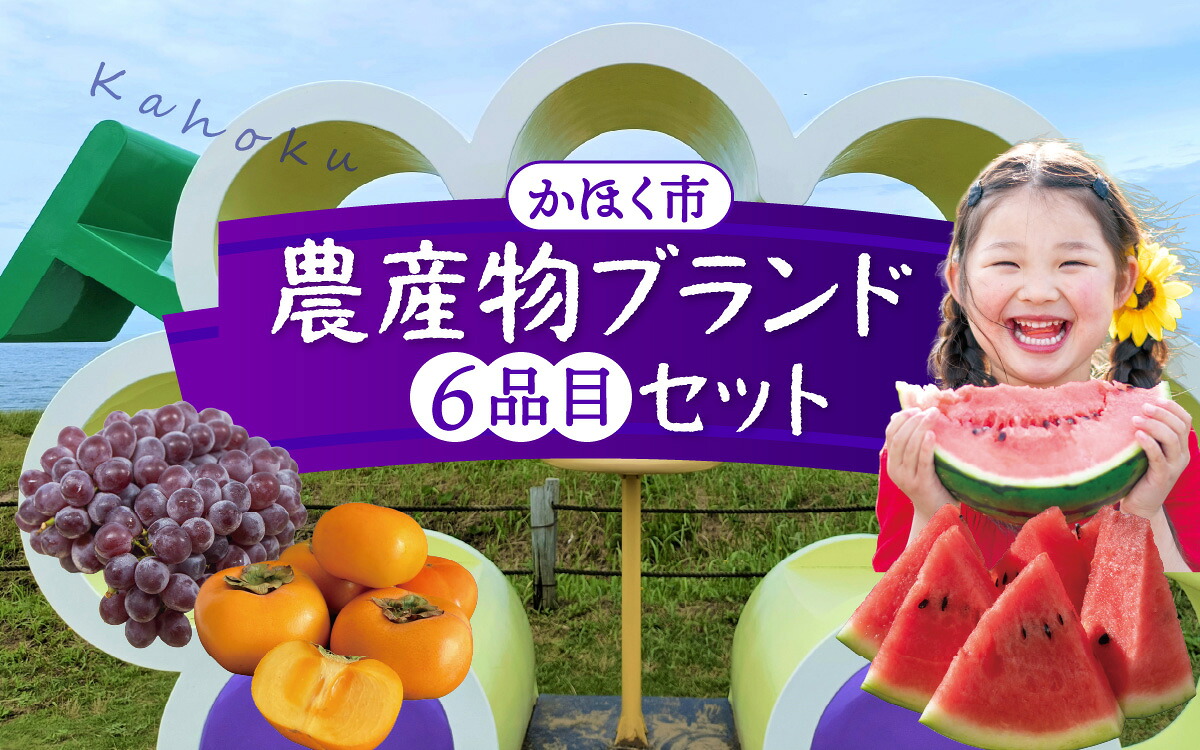 【ふるさと納税】かほく市 農産物ブランド 6品目セット | 野菜 フルーツ 果物 ぶどう 柿 さつまいも 長いも すいか 西瓜｜石川県かほく市
