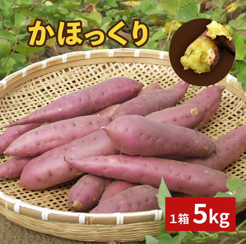 【ふるさと納税】【能登半島地震復興支援】かほっくり 1箱　 さつまいも　かほく市特産品ブランド＜2025年収穫分　先行予約＞