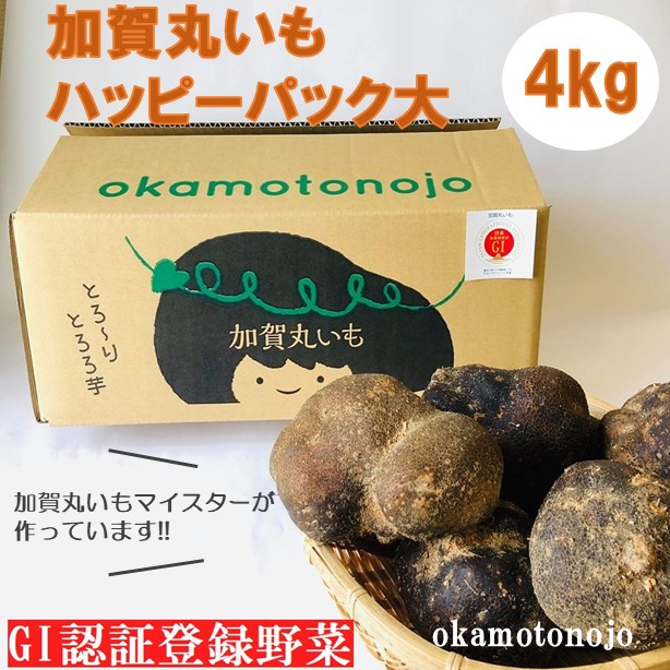 ふるさと納税 加賀丸いもハッピーパック 大 野菜 お届け 21年11月日 22年3月1日 Thetechbulletin Com