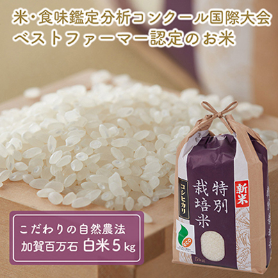 【ふるさと納税】加賀百万石特別栽培米コシヒカリ白米5kg【お米・精米・こしひかり】