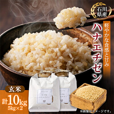 【ふるさと納税】【さっぱりとした食感と甘み】石川県野々市市産ハナエチゼン 令和7年産玄米10kg(5kg×2袋)【1685205】|石川県野々市市