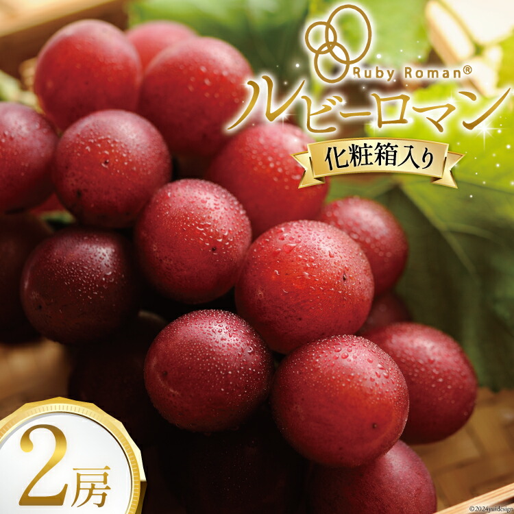 【ふるさと納税】【期間限定発送】ぶどう ルビーロマン 2房 [JA石川かほく 石川県 津幡町 28ab0002] ブドウ 葡萄 フルーツ 果物 くだもの デザート 手土産 先行受付 冷蔵 果実