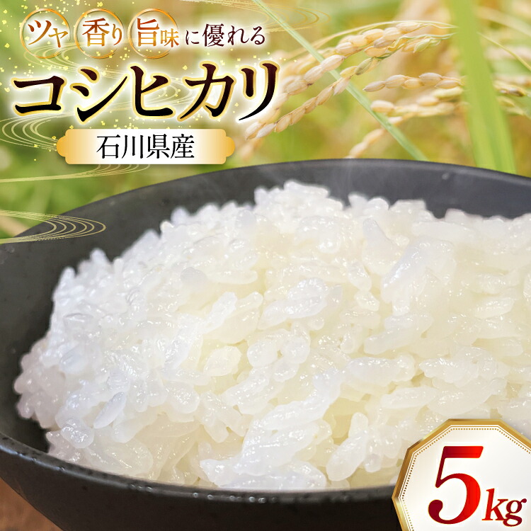 【ふるさと納税】 米 令和7年 石川県産 コシヒカリ 5kg 1袋 [農事組合法人かさの郷 石川県 津幡町 tb17bgj610003] お米 こめ 令和7年産 こしひかり 特別栽培米 5キロ おこめ ご飯 ごはん ゴハン 精米 白米 コメ kome｜石川県津幡町