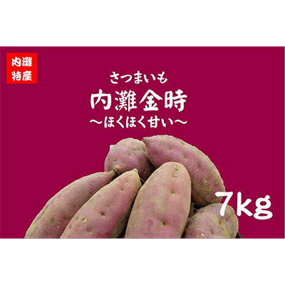 【ふるさと納税】さつまいも(内灘金時)【1599623】