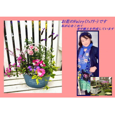 【ふるさと納税】時節ごとに変わる「心うれしいな寄せ植え」1鉢【1603715】