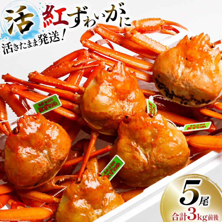【ふるさと納税】【能登半島 漁協直送 3月以降発送】 活 紅ズワイガニ (中サイズ） 5尾 計3kg前後 [JF西海 石川県 志賀町 AM4218] 蟹 カニ かに ズワイガニ ずわいがに