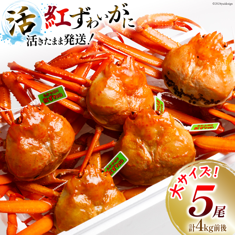 【ふるさと納税】【能登半島 漁協直送 3月以降発送】 活 紅ズワイガニ 5尾(大サイズ) 計 4kg 前後 [JF西海 石川県 志賀町AM4221] 蟹 カニ かに ズワイガニ ずわいがに