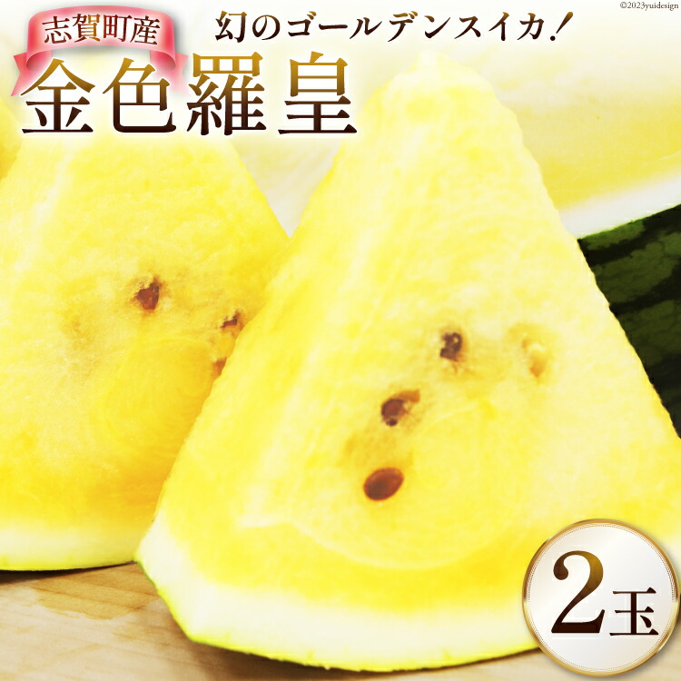 【ふるさと納税】【先行受付】金色羅皇（黄色）【幻の ゴールデンスイカ】 2玉 [米吉農園 石川県 志賀町 BA4120] スイカ すいか 西瓜 黄色スイカ 果物 フルーツ 野菜