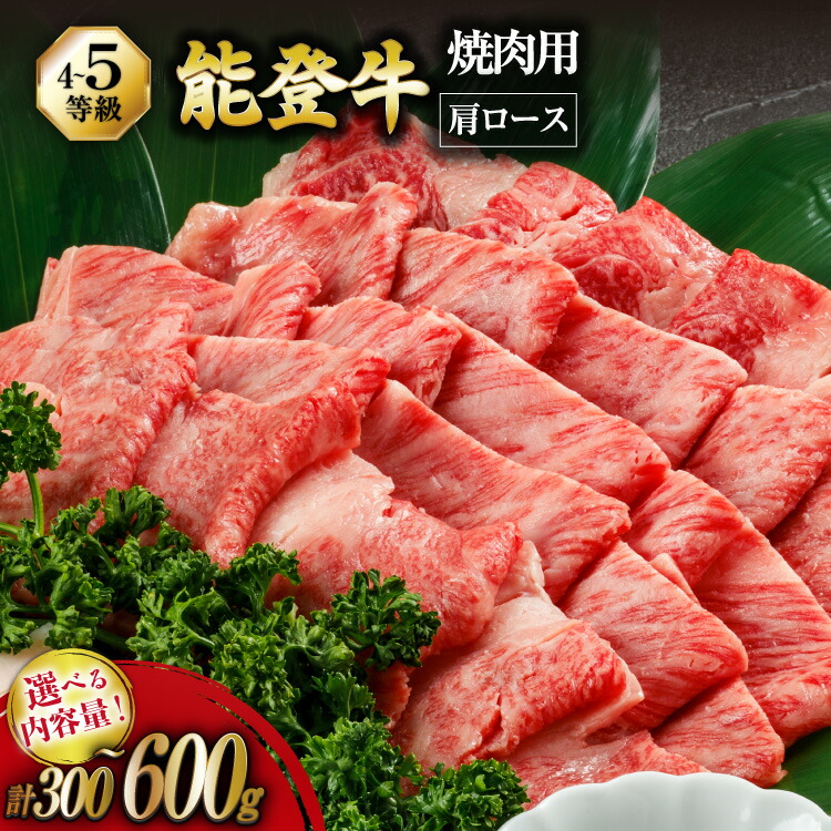 【ふるさと納税】 牛 肩ロース 選べる容量 【てらおかの能登牛】能登 牛肩ロース (4～5等級) 焼肉用 300～600g [てらおか風舎（寺岡畜産株式会社） 石川県 志賀町 AA8002] 肉 牛肉 能登牛｜石川県志賀町