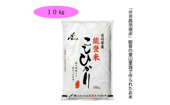 楽天市場 ふるさと納税 No 192 能登米 こしひかり 10kg 10kg 1袋 お米 精米 白米 コシヒカリ 石川県 年最新海外 Lexusoman Com