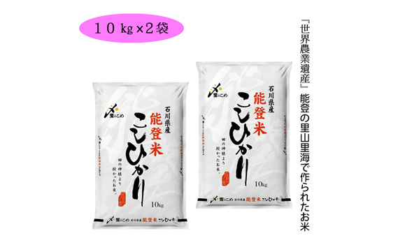 即発送可能 No 198 能登米 こしひかり kg 10kg 2袋 お米 精米 白米 コシヒカリ 石川県 石川県宝達志水町 国内最安値 Www Mutupelayanankesehatan Net