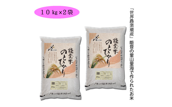 在庫一掃 No 199 能登米 のとひかり kg 10kg 2袋 お米 精米 白米 石川県 安い購入 Tulipsgroup Nl