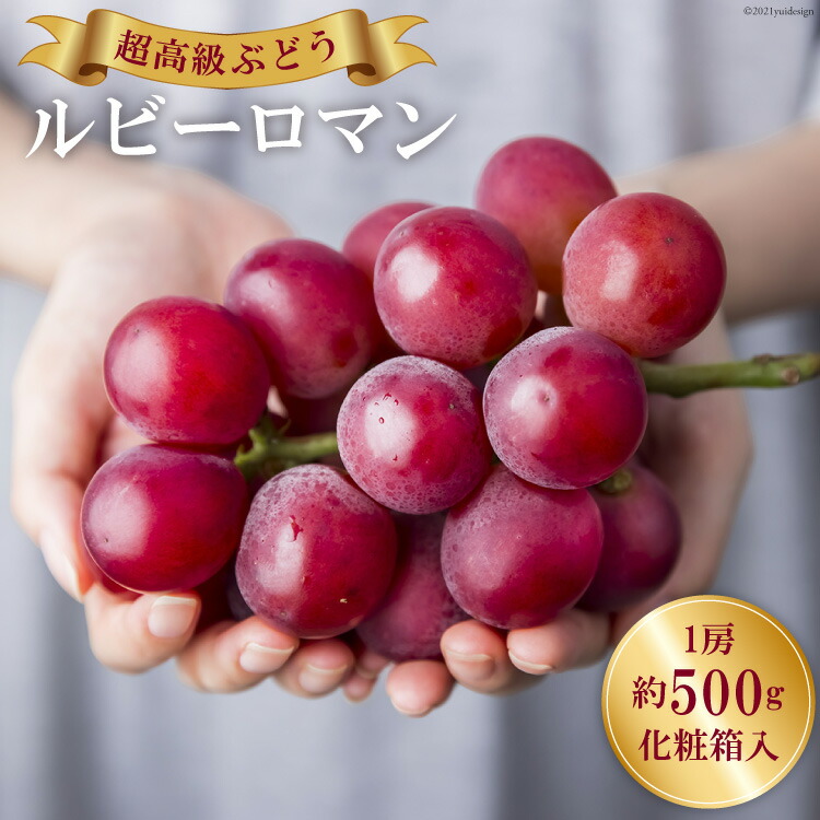 【ふるさと納税】【期間限定発送】＜2025年8月頃より順次発送＞ 超高級 ぶどう ルビーロマン 1房 約500g 化粧箱入 [モアショップヤマモト 石川県 宝達志水町 A173860297] ブドウ 葡萄 果物 レビューキャンペーン