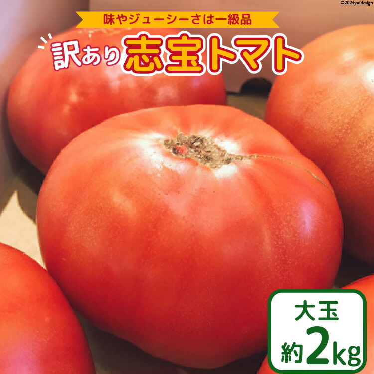 【ふるさと納税】 【 訳あり 】志宝トマト 大玉 約 2kg [モアショップヤマモト 石川県 宝達志水町 38601138] トマト とまと 不揃い 規格外 野菜 食品 石川県産 レビューキャンペーン