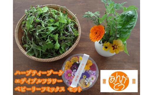 【ふるさと納税】 食用花 スペシャルセット ハーブティブーケ1束・エディブルフラワー 約30g・ベビーリーフミックス 約150g or ハーブミックス約150g [あんがとう農園 石川県 中能登町 27ai0001] 食用 スイーツ ケーキ 付け合せ ミックス 詰め合わせ