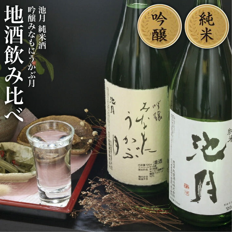 【ふるさと納税】【鳥屋酒造】 日本酒 飲み比べセット みなもにうかぶ月 と 純米池月 720ml [道の駅織姫の里なかのと 石川県 中能登町 nk17amw270056] お酒 日本酒 吟醸 純米酒 晩酌 手土産 常温