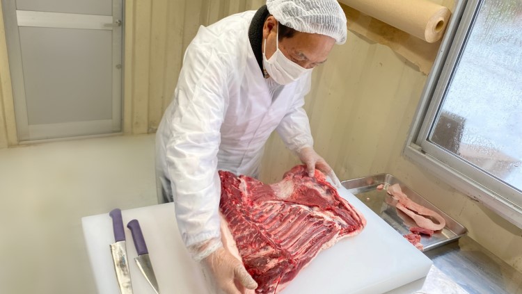 【ふるさと納税】穴水町産 天然 猪肉（ブロック肉）