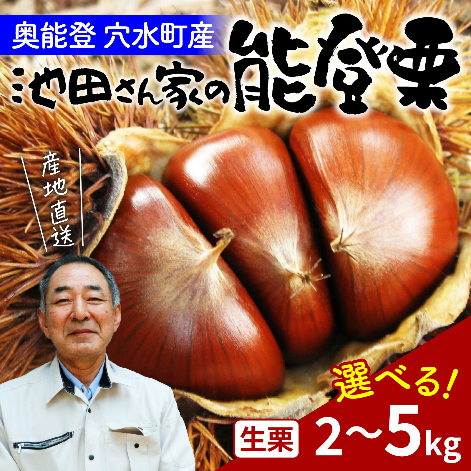 【ふるさと納税】【先行予約】【容量が選べる】奥能登 池田栗園の能登栗 2kg・3kg・5kg 【2025年9月中旬以降順次発送】/ 能登半島 奥能登 くり 生栗 マロン 和栗 焼き栗 栗ごはん 焼き栗 国産 果物 送料無料