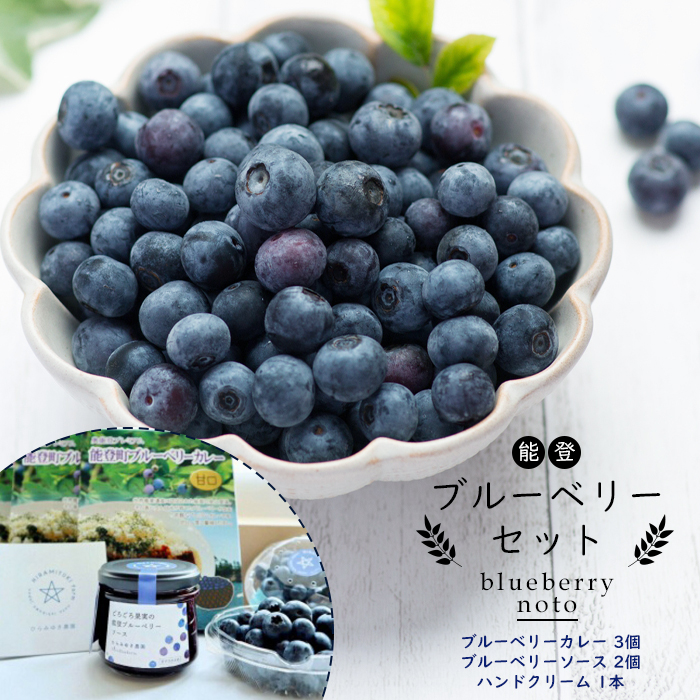 【ふるさと納税】【復興支援】【能登町プレミアム】ブルーベリーセット | 石川県 能登町 石川 能登 ふるさと 納税 支援品 返礼 取り寄せ ご当地グルメ セット 詰め合わせ ブルーベリー レトルト カレー レトルトカレー 楽天ふるさと ブルーベリーソース