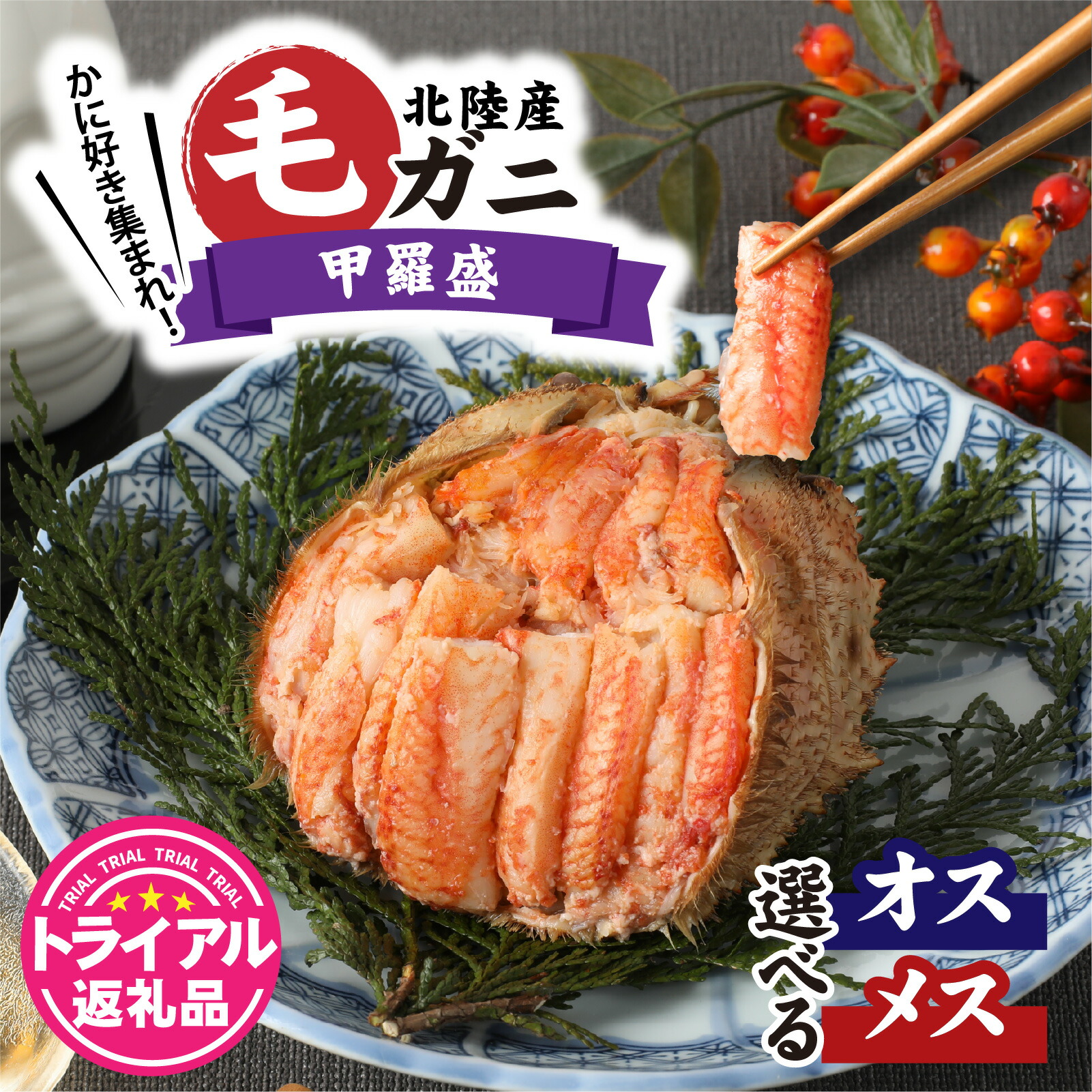 【ふるさと納税】蟹好き集まれ！北陸産毛ガニ 甲羅盛 選べるセット内容 【オスorメスor両方】【訳あり】【トライアル返礼品】 [A-096007] / 毛蟹 ケガニ めおと ゆで 茹で ボイル 甲羅盛り 北陸産 石川 かに