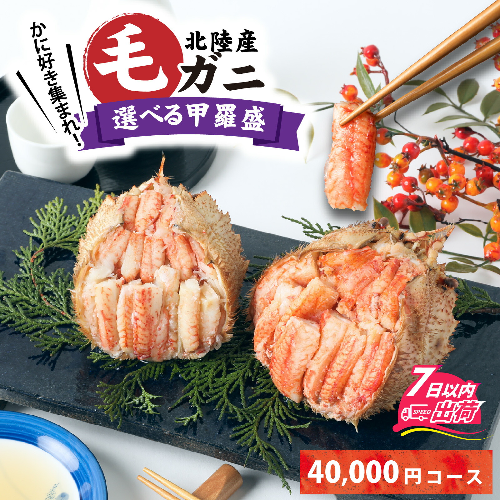 【ふるさと納税】【訳あり】蟹好き集まれ！選べる北陸産毛ガニ 甲羅盛セット【40,000円コース】/ ケガニ ゆで 茹で 茹でがに ボイル 甲羅盛 甲羅盛り 北陸産 石川 かに ガニ 蟹 専門店 冷凍 [D-096008]