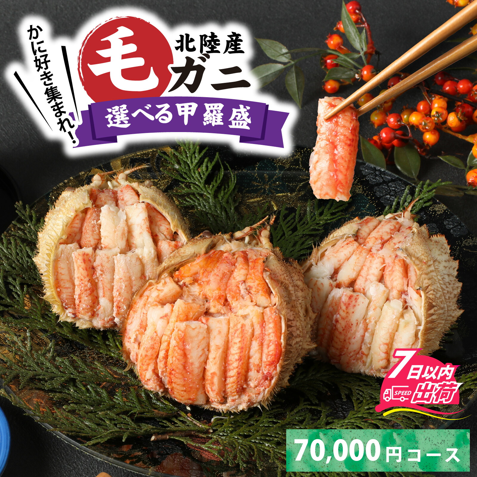 【ふるさと納税】【訳あり】蟹好き集まれ！選べる北陸産 毛ガニ 甲羅盛セット【70,000円コース】 / ケガニ ゆで 茹で 茹でがに ボイル 甲羅盛 甲羅盛り 北陸産 石川 かに ガニ 蟹 専門店 冷凍 [G-096009]