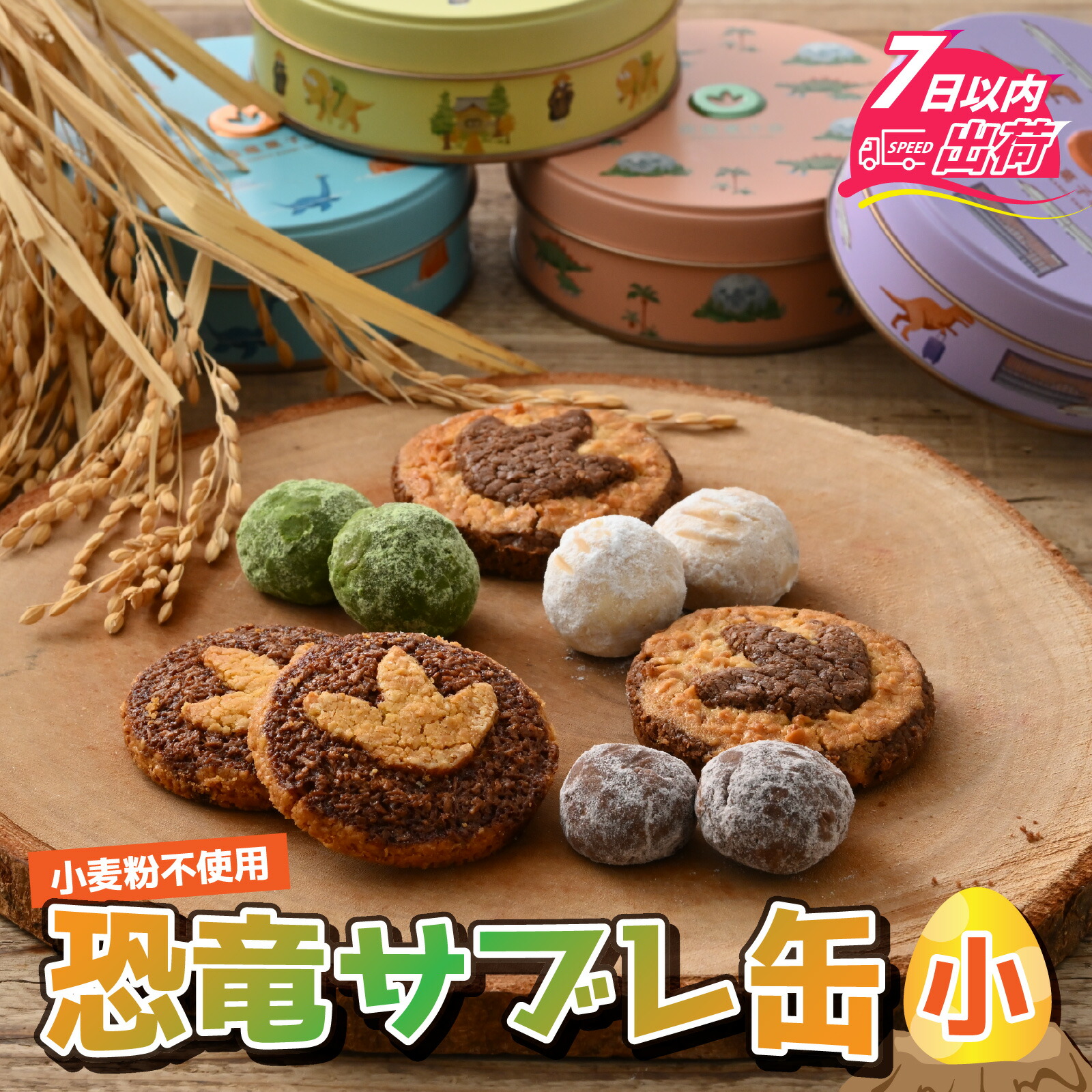 楽天市場】恐竜びより 恐竜クッキー 8個入り 個包装 恐竜 クッキー お