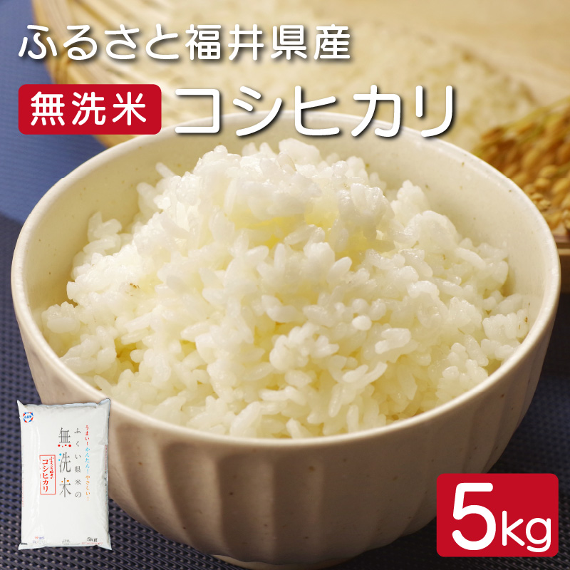 美味しいお米できました！!TAKEの棚田米厳選大粒5キロ 新米1