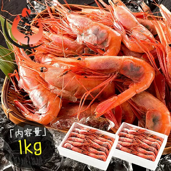 【ふるさと納税】＜6月中旬以降順次発送＞ 数量限定 甘えび・子持ちE大サイズ約1kg(約60尾) 福井県敦賀産 【送料無料 しおそう 塩荘 敦賀 あまえび アマエビ 甘エビ 刺身 生 生食 冷凍 1kg  お中元 お歳暮 ギフト 贈り物 プレゼント】[053-a027]