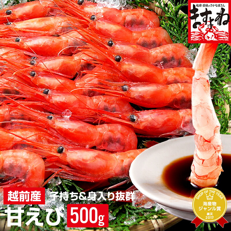 【ふるさと納税】 福井県産 越前子持ち甘えび 500g【ますよね 増米 敦賀 海鮮 あまえび アマエビ 甘エビ 刺身 生 生食 冷凍 500ｇ お中元 御中元 ギフト 贈り物 プレゼント】
