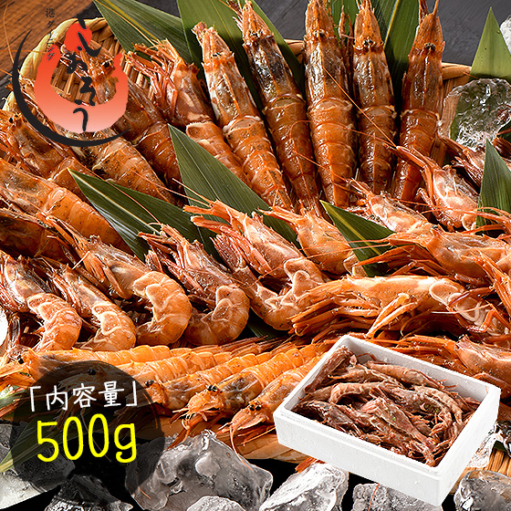 【ふるさと納税】福井県敦賀産 ガラ海老 500g 約35尾入り 船上凍結 冷凍便 【しおそう 塩荘 ガサエビ ガラエビ がさえび がらえび がまえび えび 海老 刺身 生 生食 冷凍 500g  お中元 お歳暮 ギフト 贈り物 プレゼント】