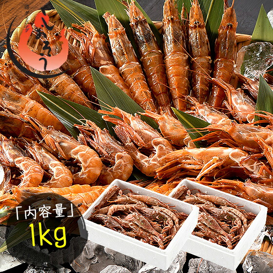 【ふるさと納税】福井県敦賀産ガラ海老 約1kg 約70尾入り 船上凍結 冷凍便 【しおそう 塩荘 ガサエビ ガラエビ がさえび がらえび がまえび えび 海老 刺身 生 生食 冷凍 500g  お中元 お歳暮 ギフト 贈り物 プレゼント】