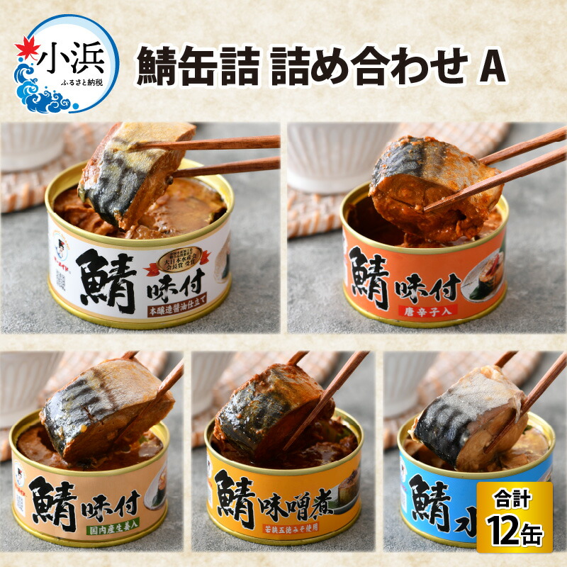 12240円 最大87%OFFクーポン 鯖缶詰12缶詰め合わせ A 福井県小浜市 キャンプ アウトドア 酒の肴 おつまみ 保存食 A-003005