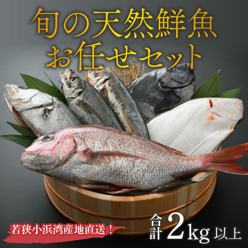 割引価格 若狭小浜湾産地直送 旬の天然鮮魚お任せセット 計2kg以上 地魚 下処理済み 刺身 煮魚 焼き魚 旬 タイ アジ トビウオ ハマチ サゴシ ハタハタ マグロ 甘エビ ヒラメ サワラ アオハタ サバ メバル イカ タラ カワハギ A Www Todoceremonia Es