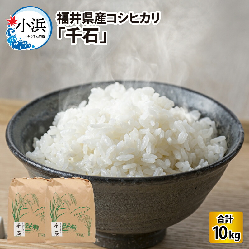 【ふるさと納税】【 先行予約 /10月以降配送】【令和7年産】福井県産コシヒカリ「千石」 10kg / 米 お米 こしひかり 小分け 小浜市 / 千石の郷  [BFCA001]