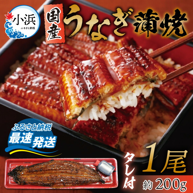 【ふるさと納税】冷蔵 国産 うなぎ 蒲焼 1尾 約 200g タレ 付 ／ 冷蔵 鰻 ウナギ 鰻蒲焼 ウナギ蒲焼用たれ タレ 土用 丑の日 ギフト グルメ 惣菜 うな丼 うな重 ひつまぶし 200g ギフト 一人暮らし 一人飯 【配送不可地域：北海道・沖縄・離島】  [BFCJ001]