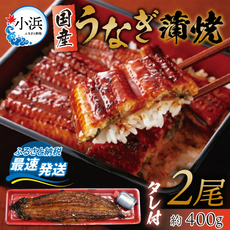 【ふるさと納税】冷蔵 国産 うなぎ 蒲焼 2尾 約 400g タレ 付 ／ 冷蔵 鰻 ウナギ 鰻蒲焼 ウナギ蒲焼用たれ タレ 土用 丑の日 ギフト グルメ 惣菜 うな丼 うな重 ひつまぶし 400g ギフト 【配送不可地域：北海道・沖縄・離島】  [BFCJ002]