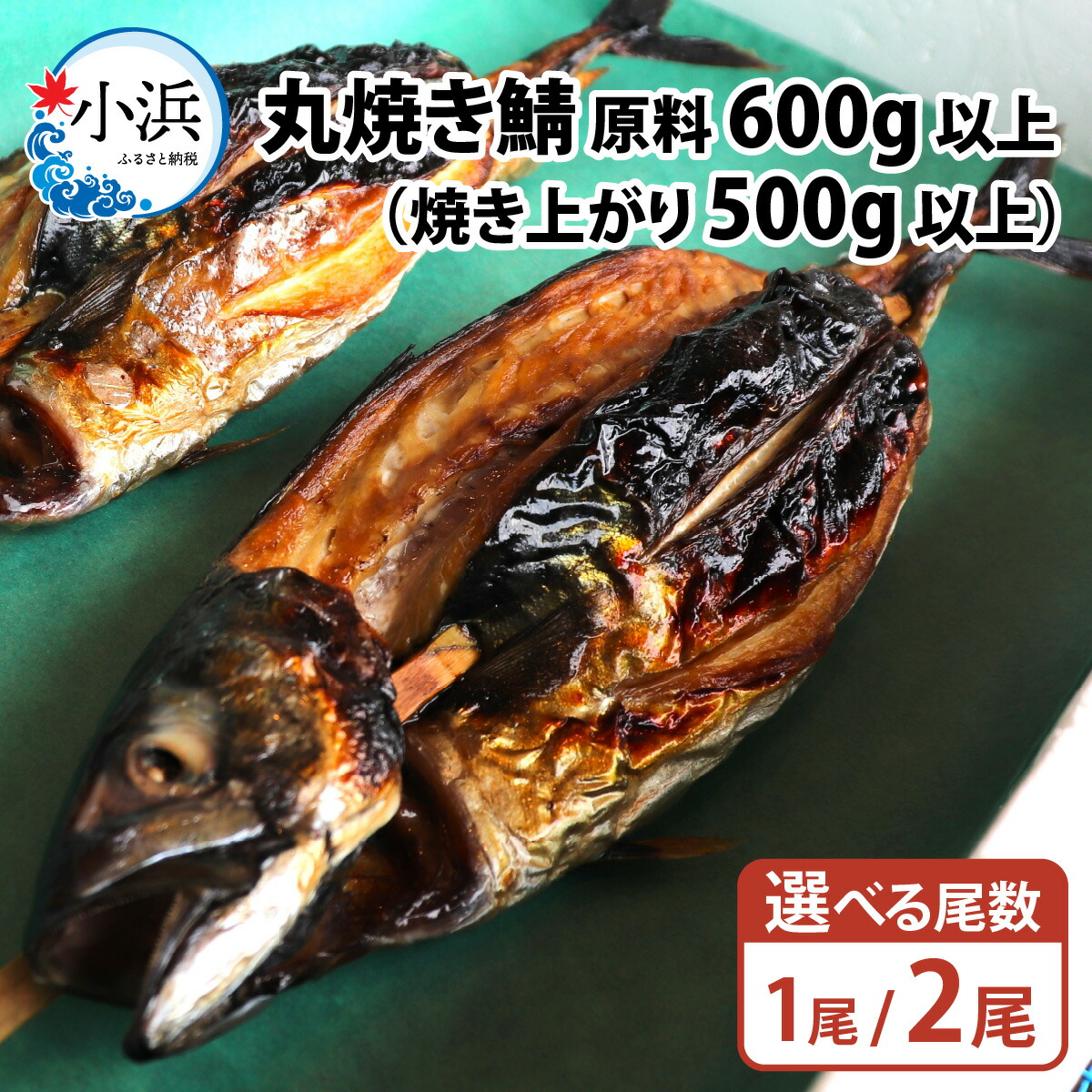 【ふるさと納税】【容量が選べる】丸焼き鯖 焼き上がり 500g以上（原料600g以上）1尾 / 2尾 ｜鯖 焼き鯖 鯖 浜焼き 丸焼き 塩焼き 500g 送料無料 [Y-087001]  【配送不可地域：北海道・沖縄・離島】  [BFCJ004]