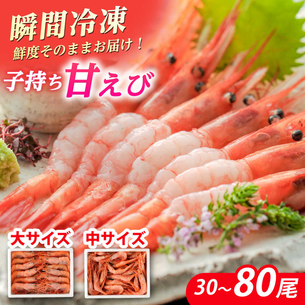 【楽天市場】【ふるさと納税】子持ち 甘えび（冷凍・刺身用）500g〜1kg 【最速発送】【容量が選べる】 ｜ 甘エビ 海老 えび エビ 冷凍 アマエビ あまえび 甘海老 生食 刺身 産地直送 国産 人気 送料無料 福井県小浜市  【配送不可地域：北海道・沖縄・離島】  [BFAA048]：福井県小浜市
