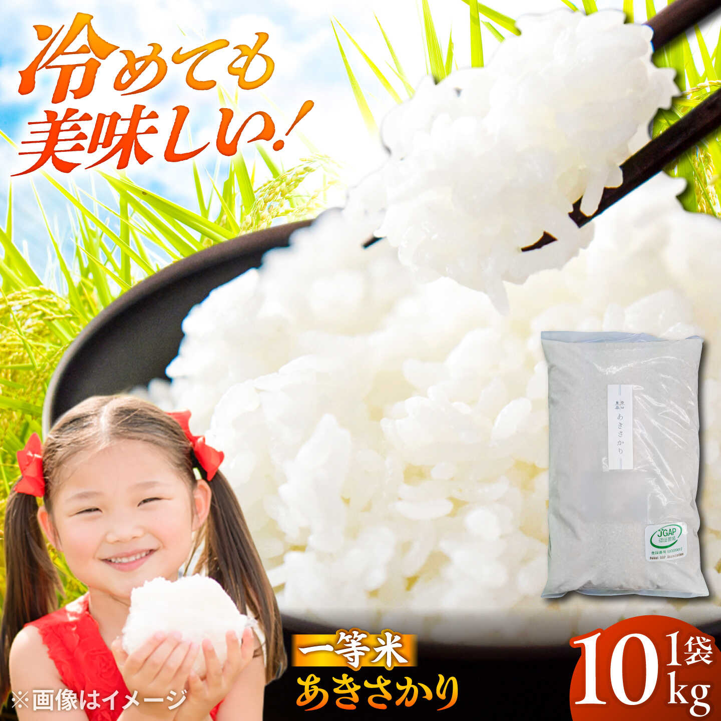 【ふるさと納税】【先行予約/10月下旬以降順次発送】【令和8年産】福井県産 あきさかり 10kg 白米 新米 若狭の恵 [A-002061] [BFAG014]｜福井県小浜市