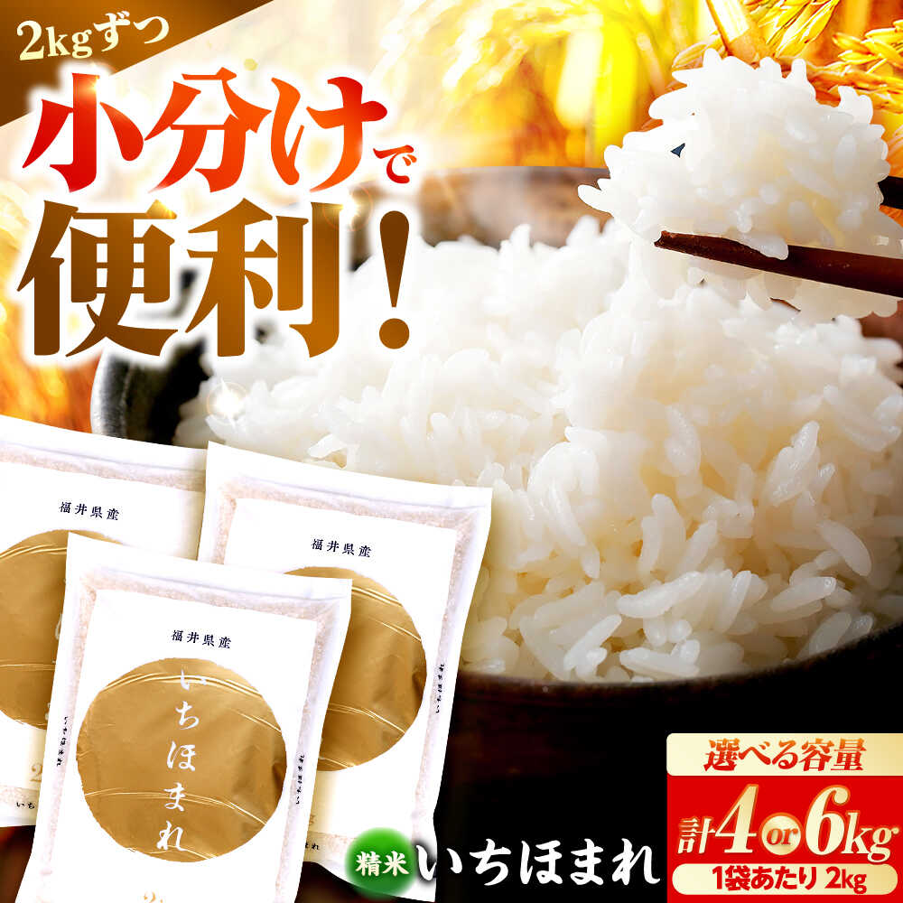 【ふるさと納税】選べる容量 福井県産 いちほまれ 2kg&times;2袋or3袋 ブランド米 / 白米 精米 甘みとつや 小浜市 / シマダ農園[BFAV013]｜福井県小浜市