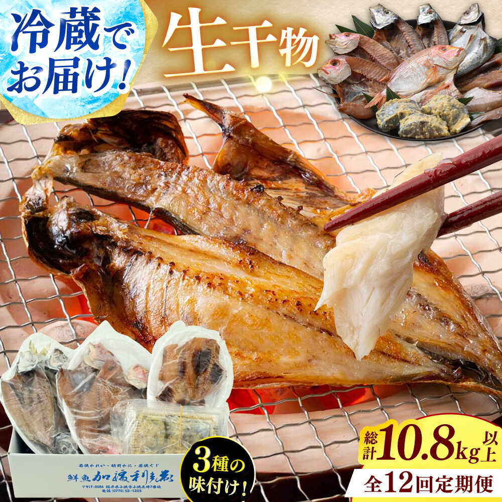 【ふるさと納税】【12回定期便】季節の旬の魚をお届け！