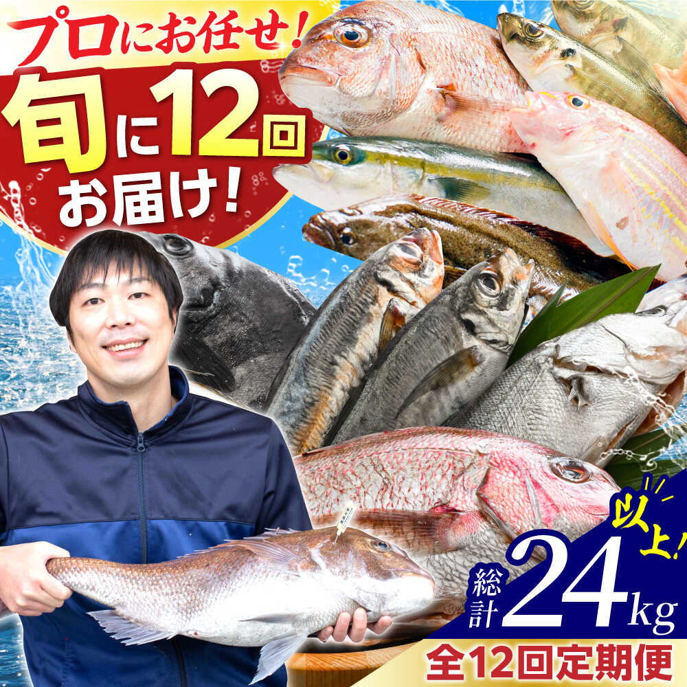 【ふるさと納税】【12回定期便】「若狭小浜湾産地直送」旬の天然鮮魚お任せセット！ / 地魚 下処理済み 刺身 煮魚 焼き魚 旬 タイ アジ  小浜市 / 加福鮮魚 【配送不可地域：北海道・沖縄・離島】  [BFBC017]